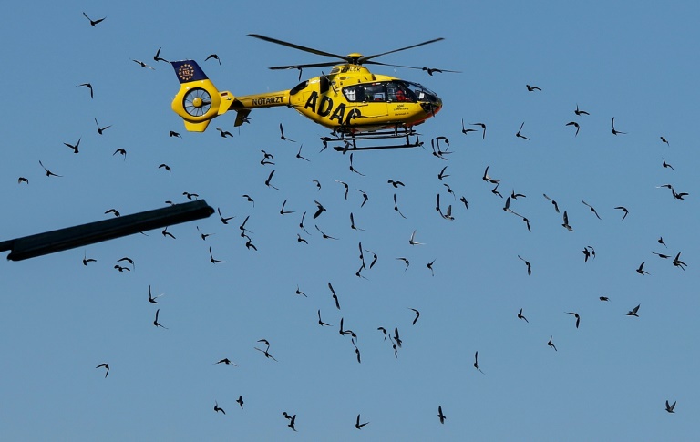 Nach Flugzeugabsturz in Schleswig-Holstein: Hubschrauber holt Pilot aus Baumkrone