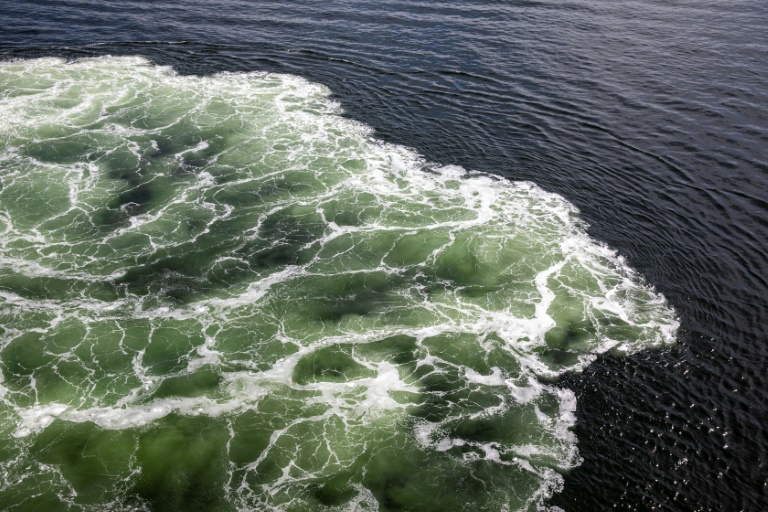 Greenpeace: Russische Ölexporte mit veralteten Tankern gefährden Ostseeküste