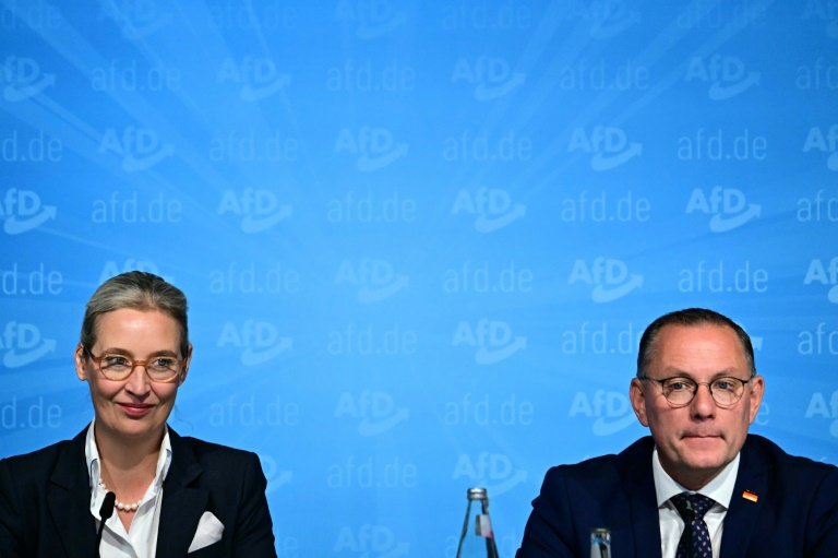 Weidel beharrt auf AfD-Regierungsanspruch in Sachsen und Thüringen