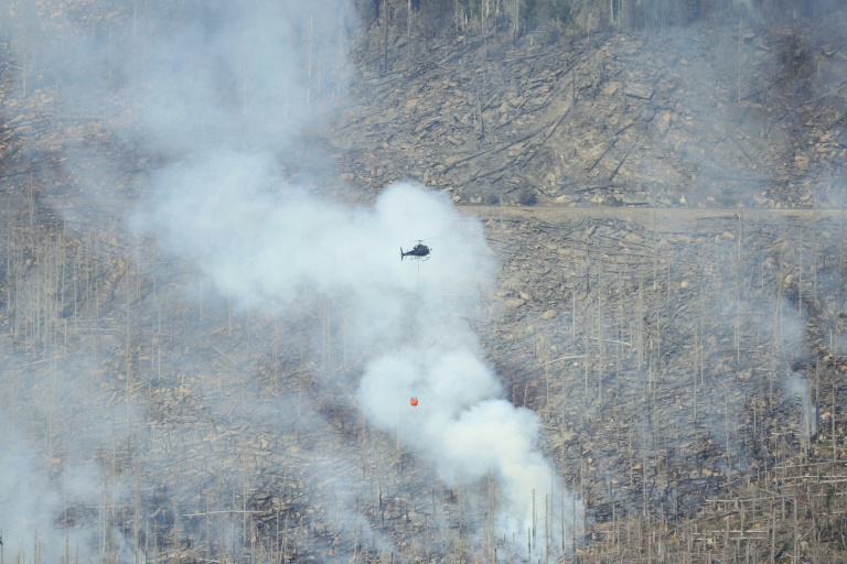 Großfeuer am Brocken: 250 Brandbekämpfer und Flugzeuge im Einsatz