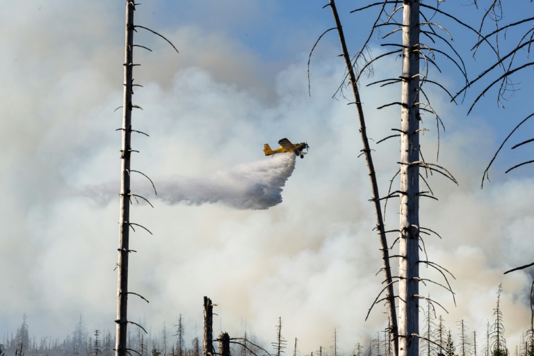 Kampf gegen Waldbrand am Brocken: Flammen laut Behörden unter Kontrolle