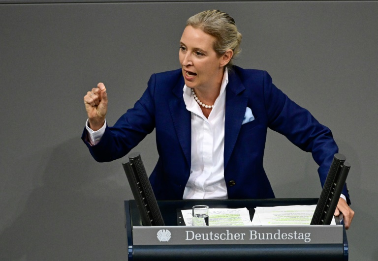 Weidel wirft "Ampel" Komplettversagen vor - Scholz warnt vor Gefahr durch AfD