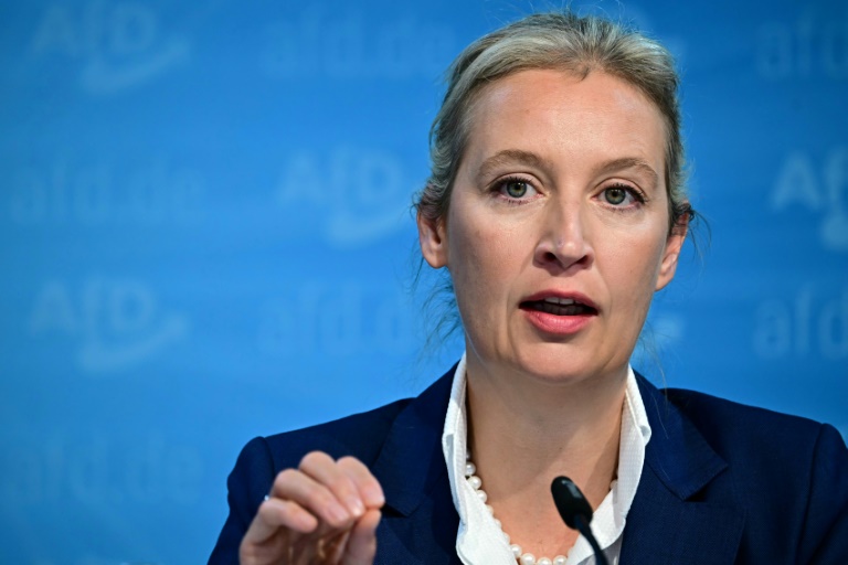 Parteichefin Weidel soll Kanzlerkandidatin der AfD werden