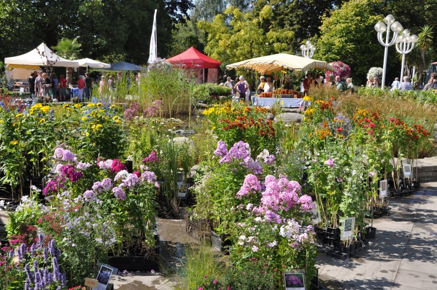 Herbst-Pflanzenraritätenmarkt im Grugapark Essen