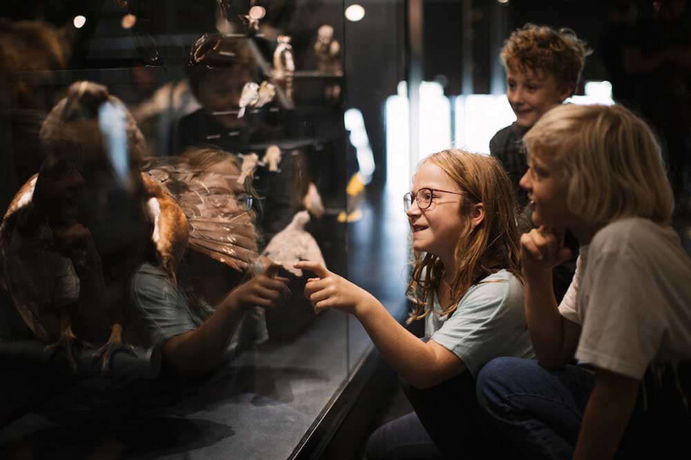 Kinder- und Familienführung im Ruhr Museum Essen