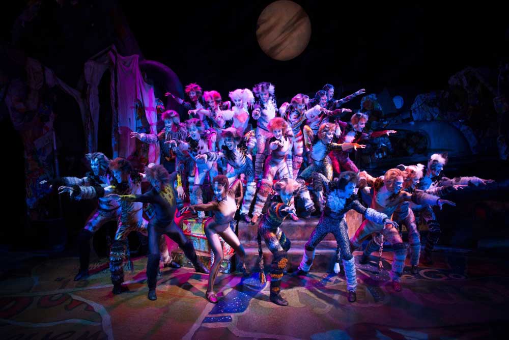 CATS kommt ins Capitol Theater Düsseldorf