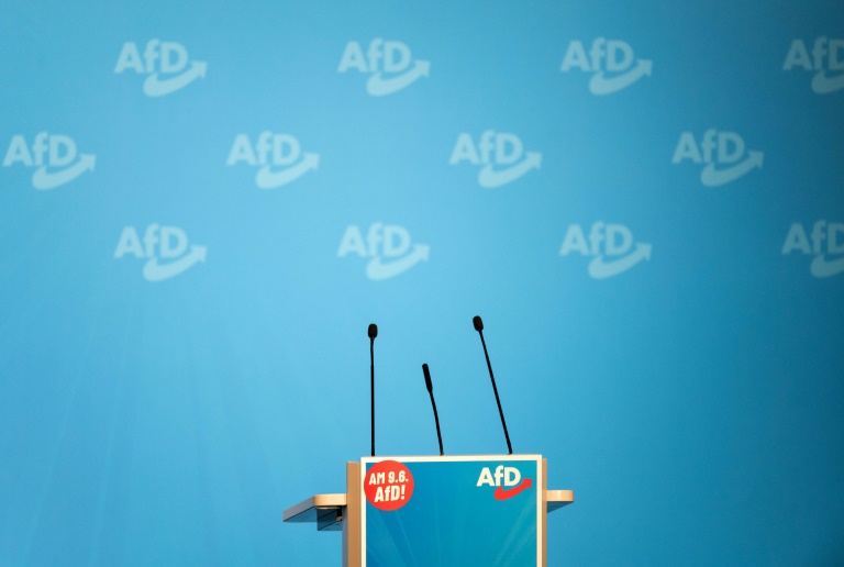 Bas rät zu Abstimmung über AfD-Verbotsverfahren erst Ende des Jahres