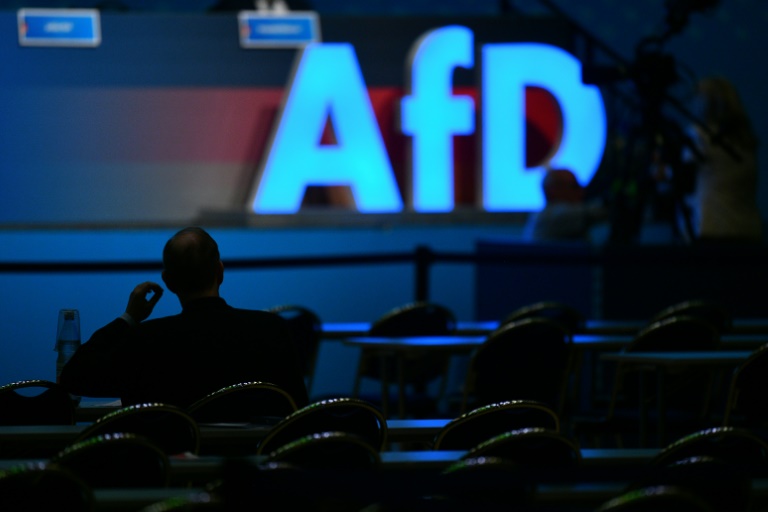 SPD und Grüne sehen Gruppenantrag zu AfD-Verbotsverfahren kritisch