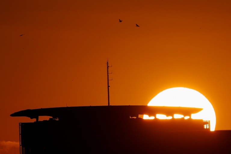 Hausrotschwanz zu Vogel des Jahres 2025 gekürt