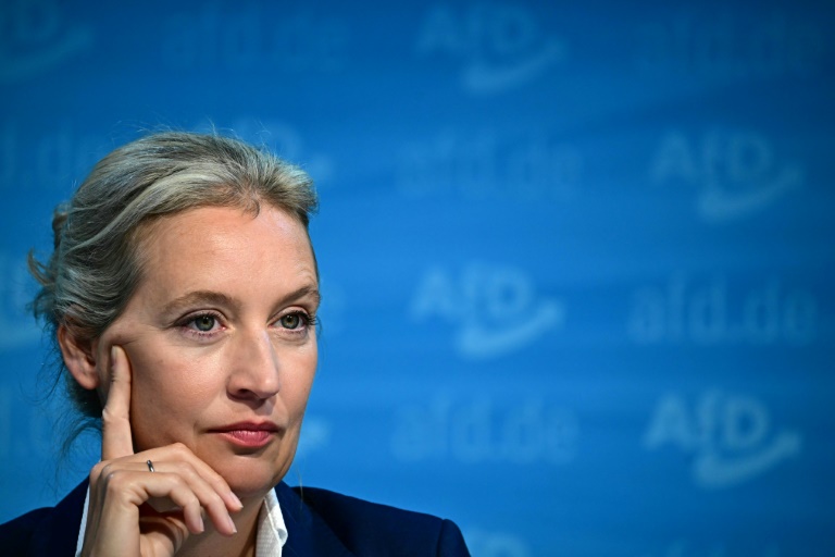 Weidel will auch als AfD-Kanzlerkandidatin nicht vorwiegend in Deutschland leben