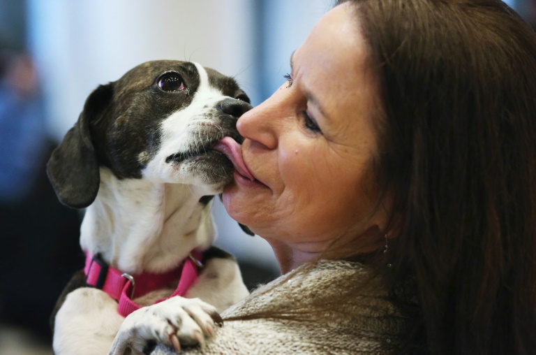 Einnahmen aus Hundesteuer steigen auf neuen Rekordwert