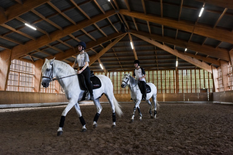 Gericht: Verletzung bei Schnupperstunde in Reitverein ist kein Arbeitsunfall