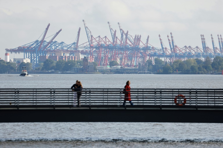 Spaziergänger in Hamburg finden Leiche ohne Kopf am Elbufer: Todesursache unklar