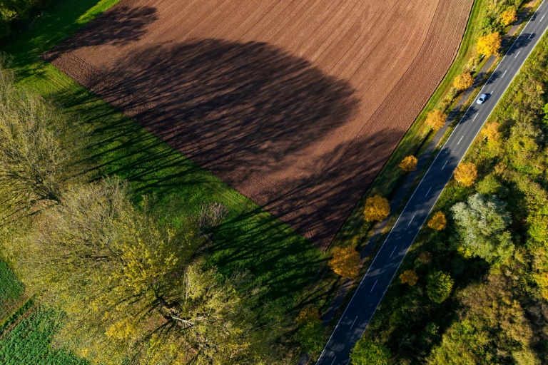 Medienbericht: Mehr Einbürgerungsanträge seit neuem Staatsangehörigkeitsrecht