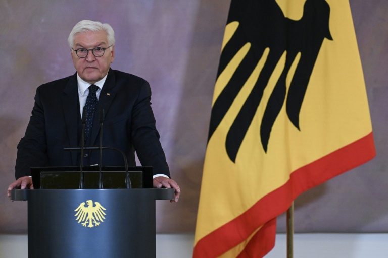 Steinmeier führt vertrauliche Gespräche mit Parteien über Neuwahlen