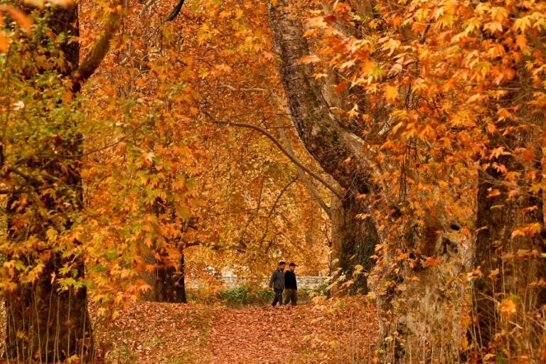 Bilanz des Wetterdiensts: Herbst in Deutschland zum 14. Mal in Folge zu warm