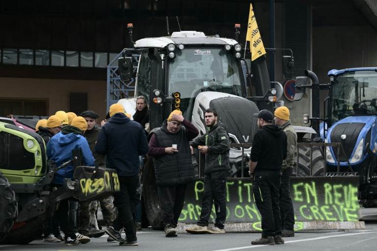 Französische Bauern protestieren weiter gegen Mercosur-Abkommen