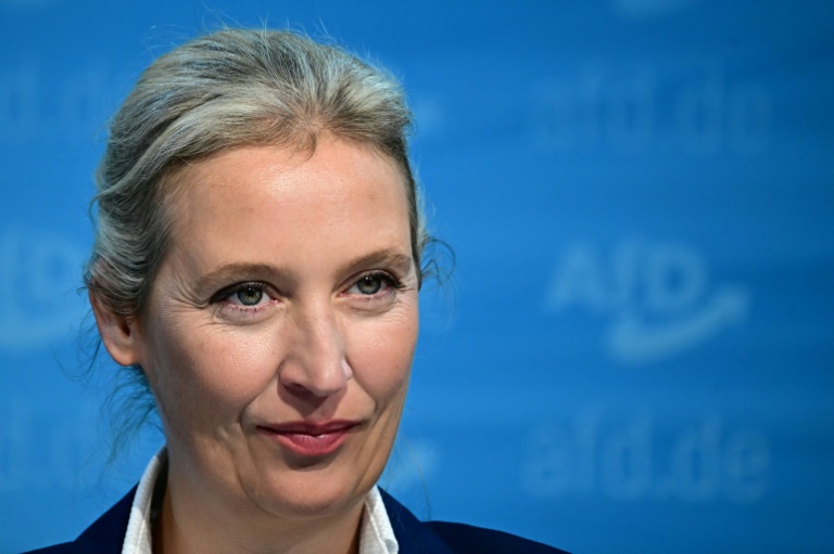 AfD-Vorstand kürt Weidel zur ersten Kanzlerkandidatin