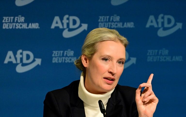 Kampf gegen den "Hippie-Staat": AfD-Vorstand kürt Weidel zu Kanzlerkandidatin