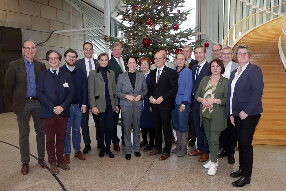 Weihnachtsbäume und Adventskranz im Landtag NRW