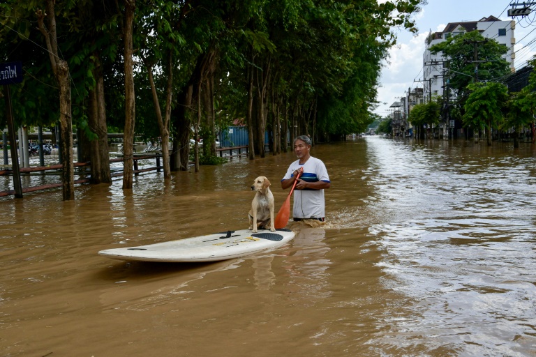 Hurrikans und Hochwasser: Unwetter sorgen 2024 für 320 Milliarden Dollar Schaden