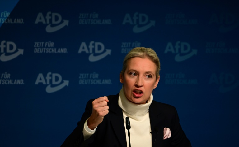 Musk und Weidel veranstalten Live-Gespräch auf X