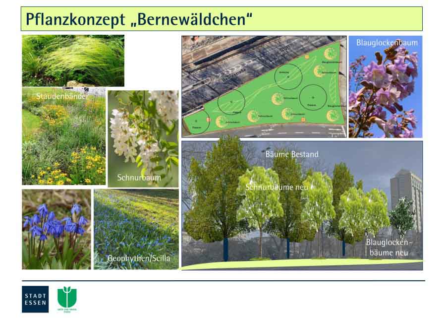 Umgestaltung des "Bernewäldchens" in Essen