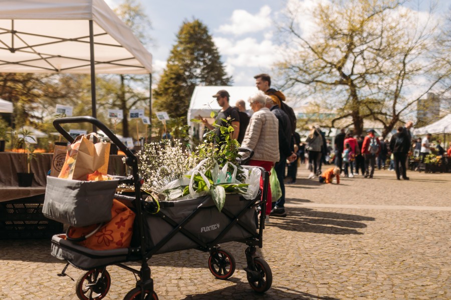 Frühjahrs-Pflanzenraritätenmarkt im Grugapark Essen