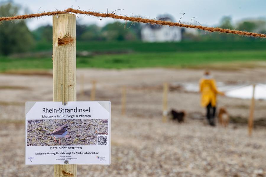 Einrichtung von Strandschutzinseln am Rheinufer