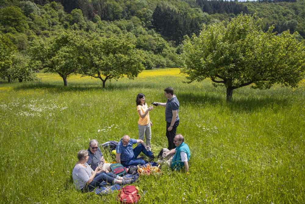 Wein-Tauber-Wanderweg