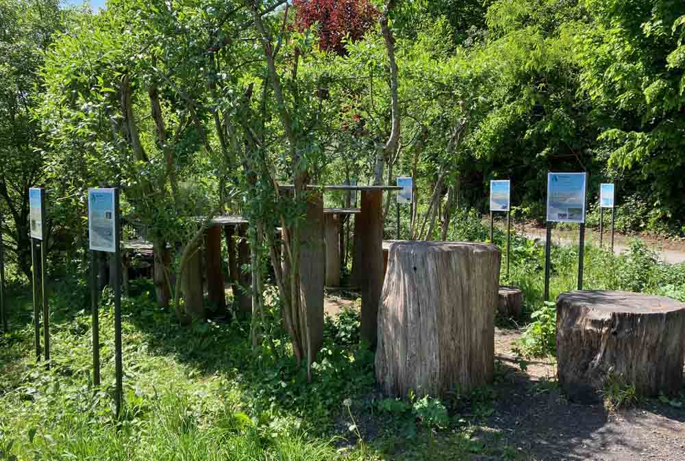 Natur-Erlebnis-Raum in Arnsberg