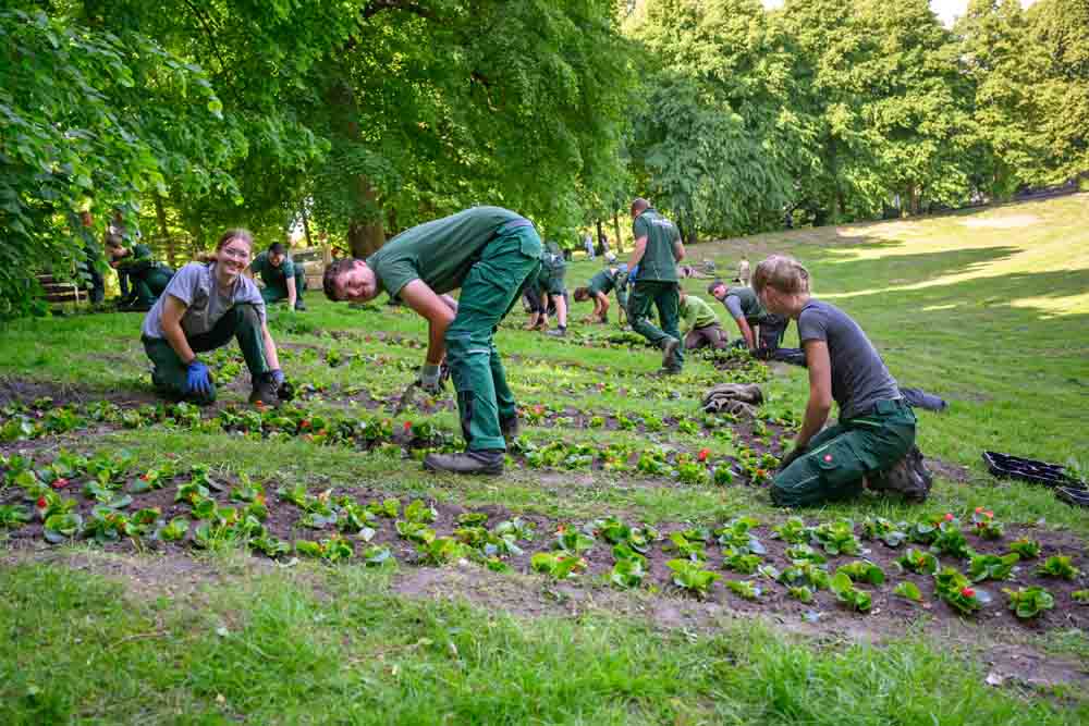 Pflanzaktion Blumenschriftzug