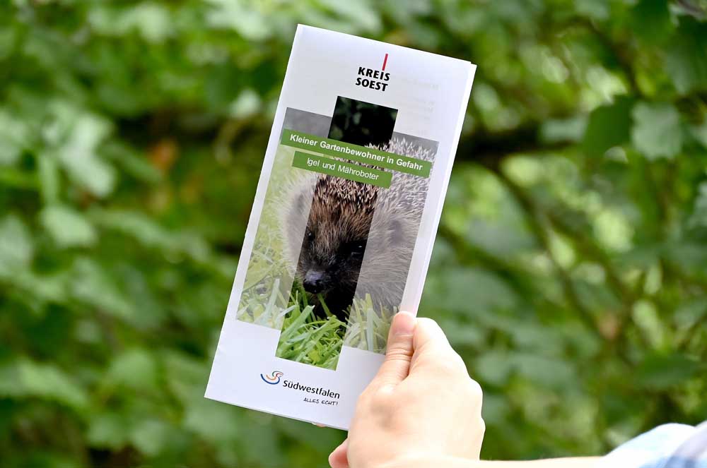 Faltblatt zum Igelschutz