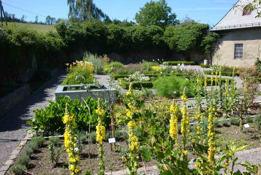 Ein Blick in den Klostergarten am Kloster Oelinghausen