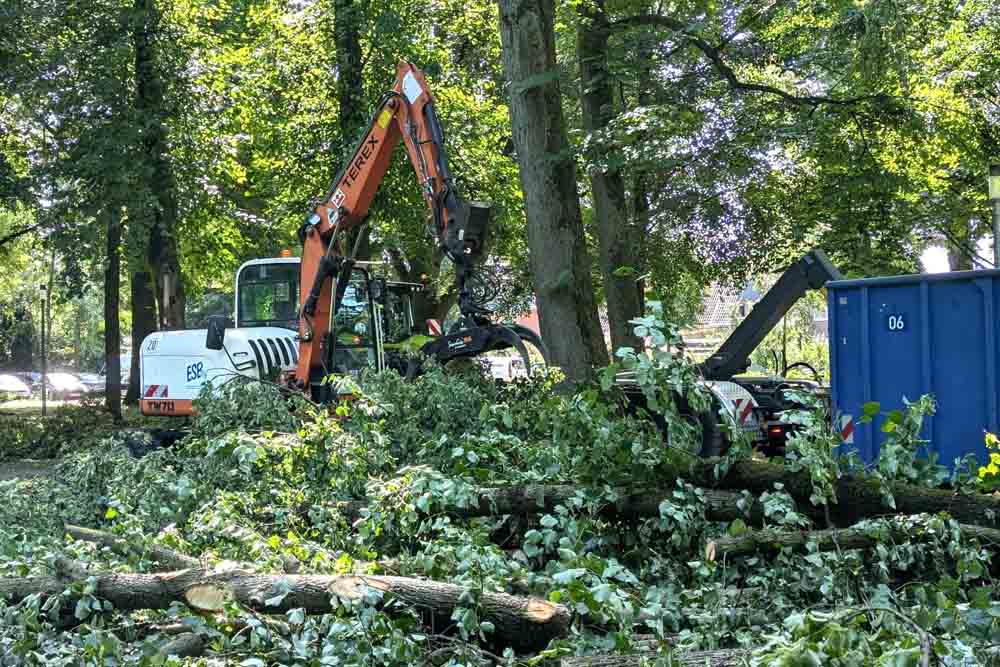 Aufräumarbeiten im Langenbergpark