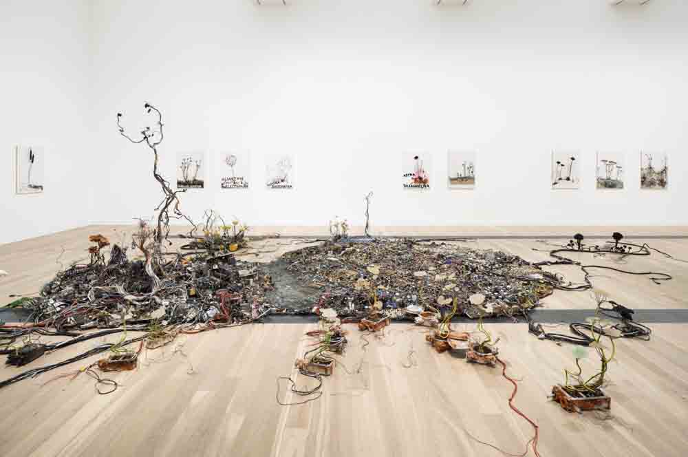 Blick in die Ausstellung „VERWURZELT UND VERZWEIGT"