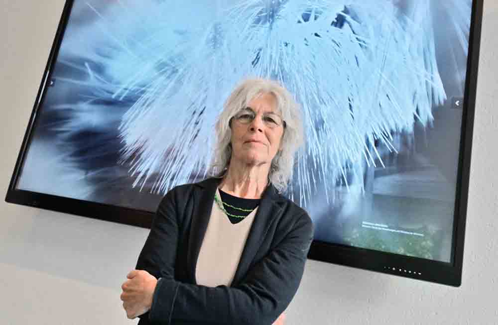 Die Künstlerin Doris Kaiser vor ihrem Projekt im Rathaus
