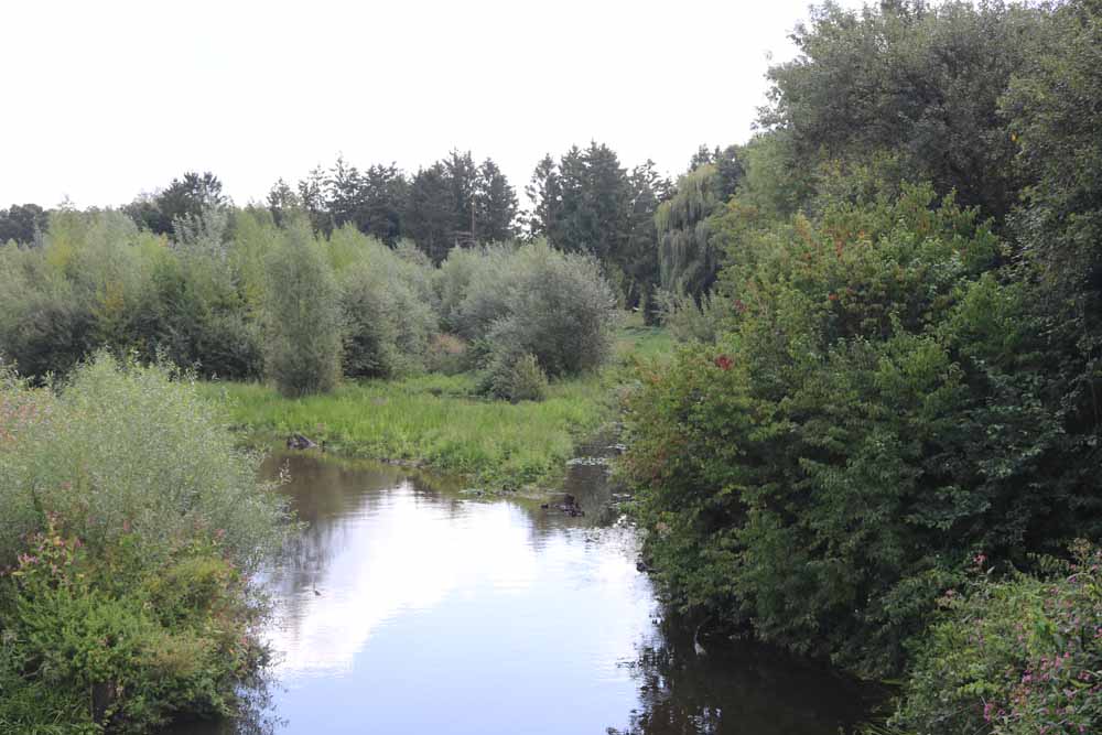 Aktueller Blick von der Brücke auf die Bocholter Aa entgegen der Fließrichtung