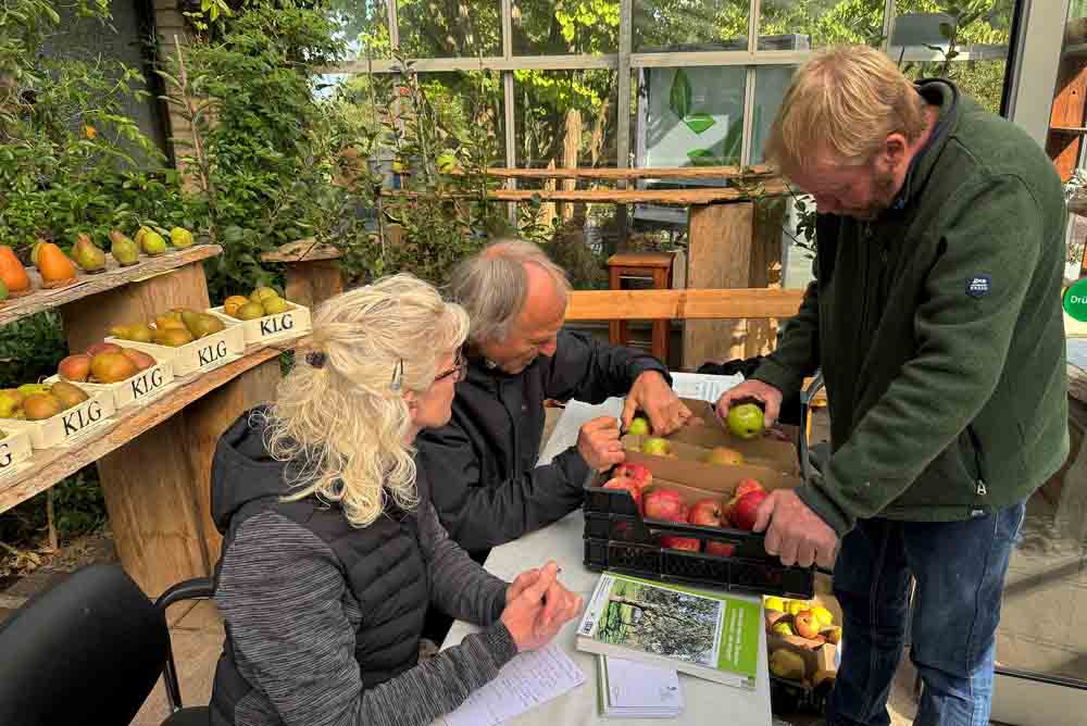 Sortenbestimmung im Kreislehrgarten