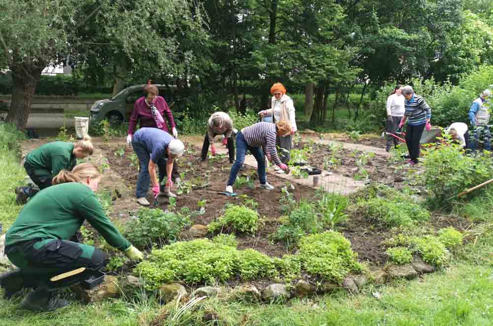 Menschen pflanzen ein Beet an
