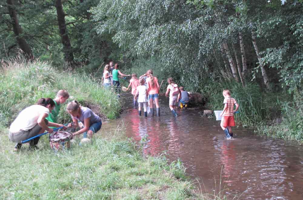 Workshop "Gewässeruntersuchung"