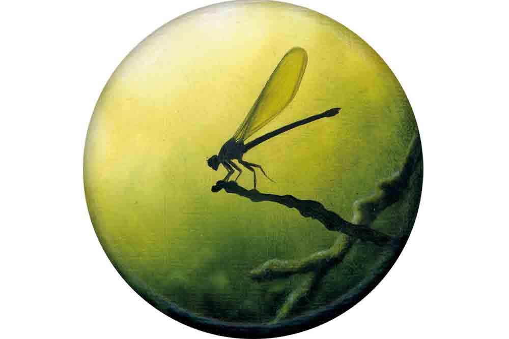 Abbildung: 204, 2025, Ø 10 cm, Öl auf Leinen