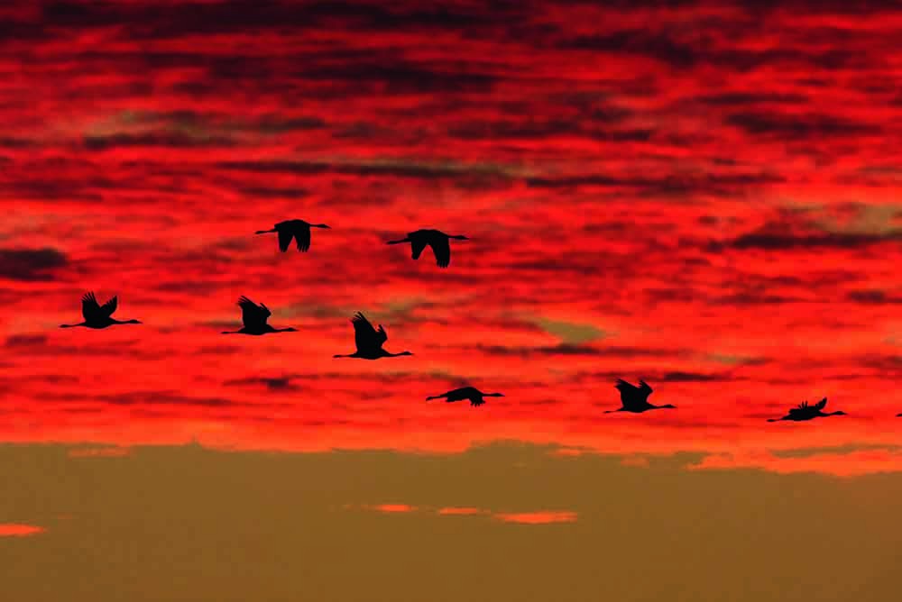 Fotografie von Hubert Stroetmann