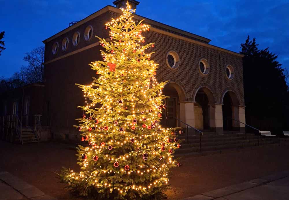 Weihnachtsbaumauf dem Bocholter Friedhof