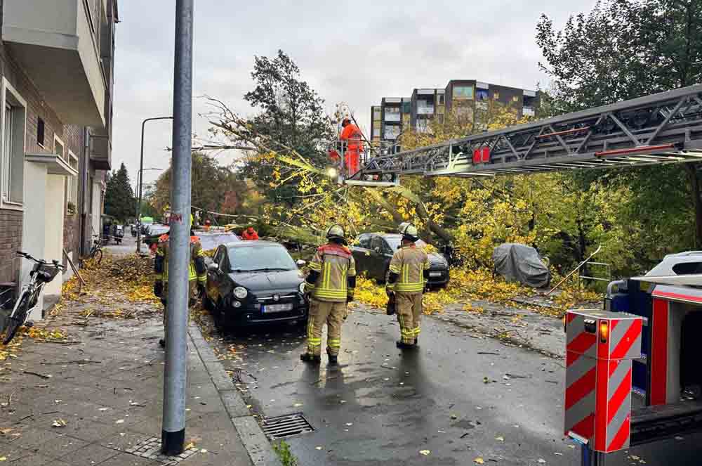 Feuerwehrleute beseitigen Baum mittels Motorkettensäge