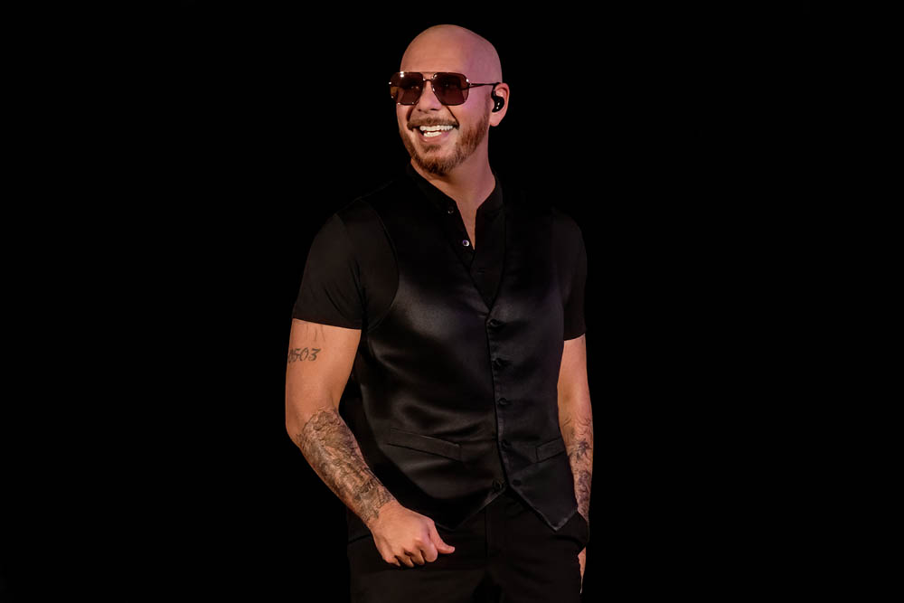 Pressefoto Pitbull