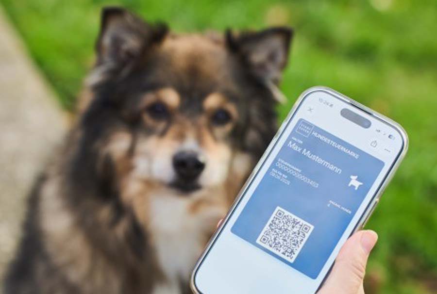 Handy mit digitaler Hundesteuermarke und Hund im Hintergrund