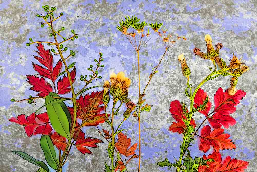 Werk von Werner Hübner