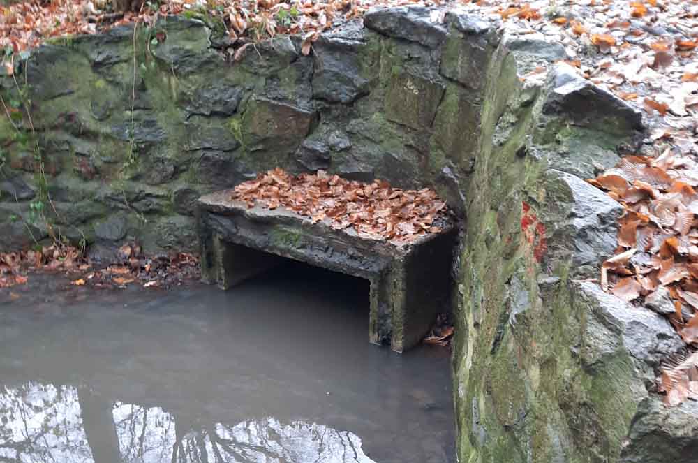 Vornholtgraben in Gremmendorf