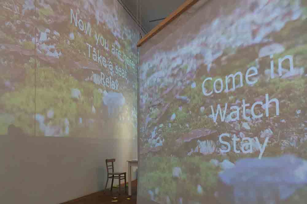 Blick in die performative Ausstellung „Garten des Widerstands"